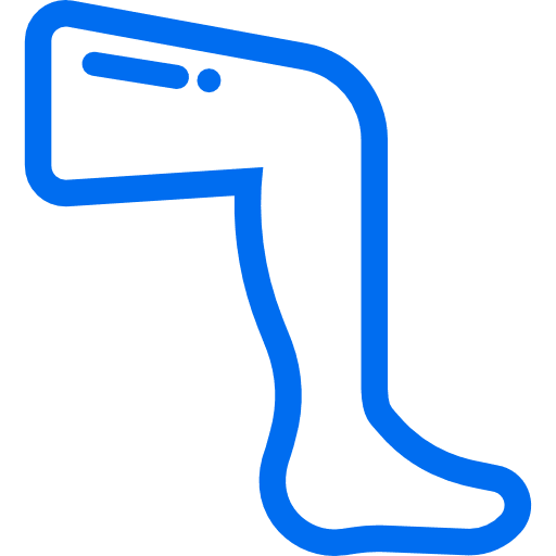 leg