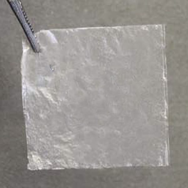 membrane-patch-1